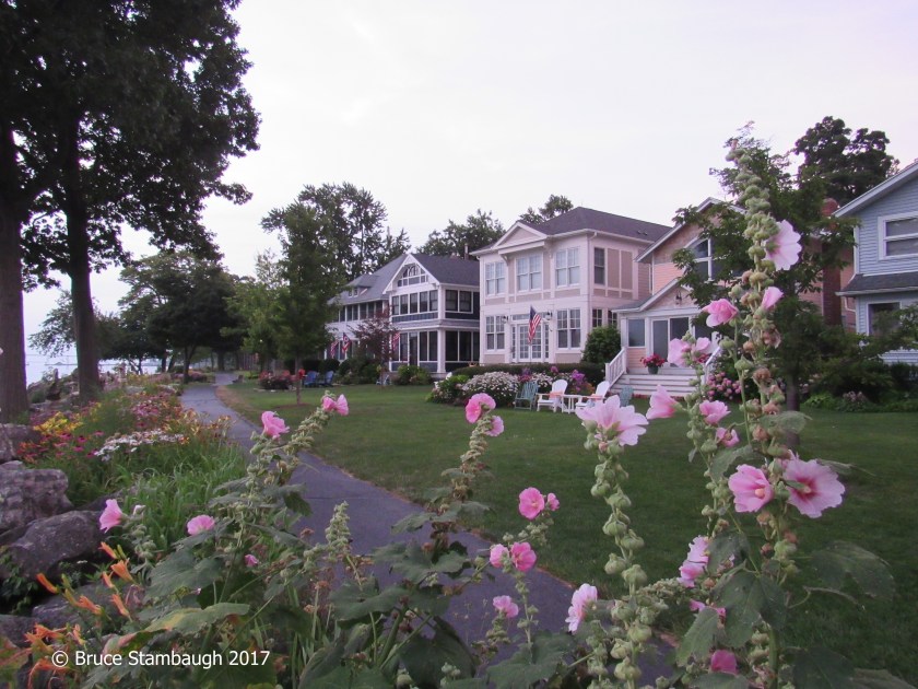 Lakeside OH, hollyhocks