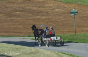 horse and wagon, Rockingham Co. VA