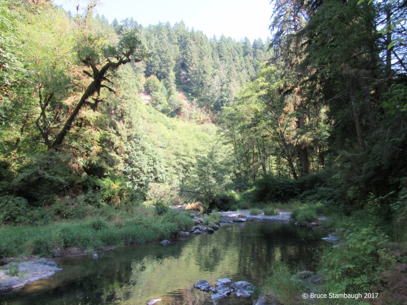 Drift Creek, Lincoln City OR