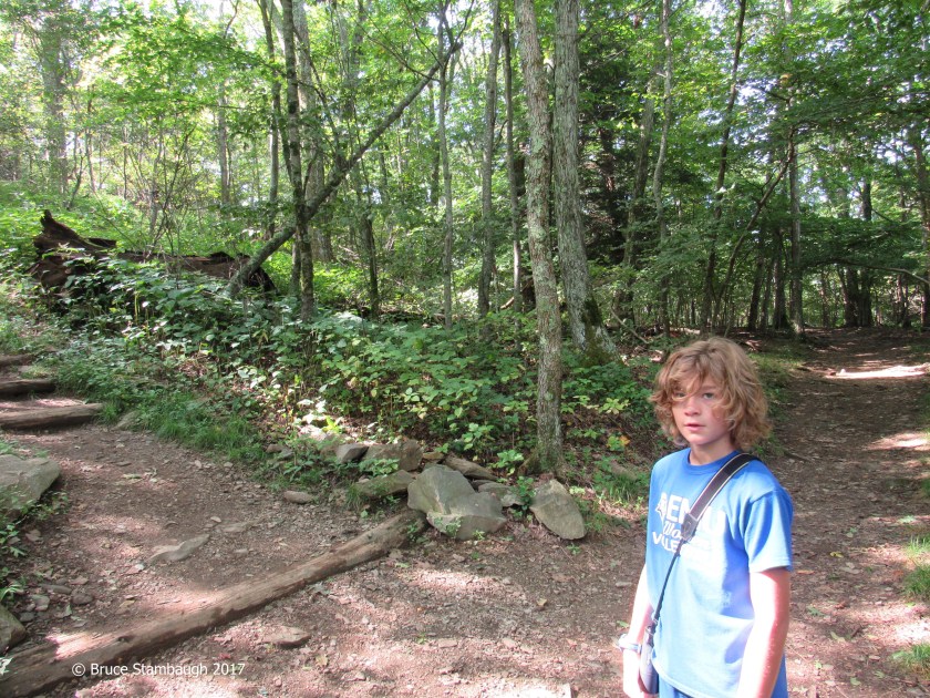Bearfence trail, Appalachian Trail, Shenandoah NP
