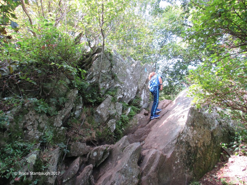 Bearfence Trail, Shenandoah NP
