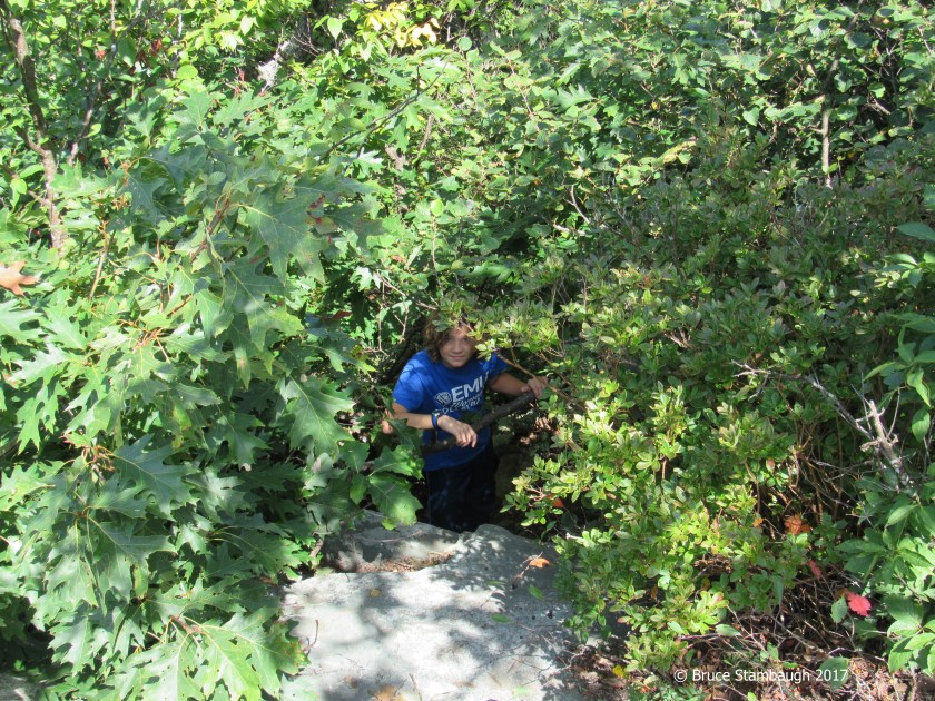 Bearfence Mt., Shenandoah NP