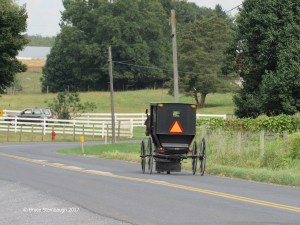 Old Order Mennonite horse and buggy, Dayton VA