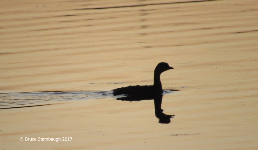 Silver Lake Dayton VA