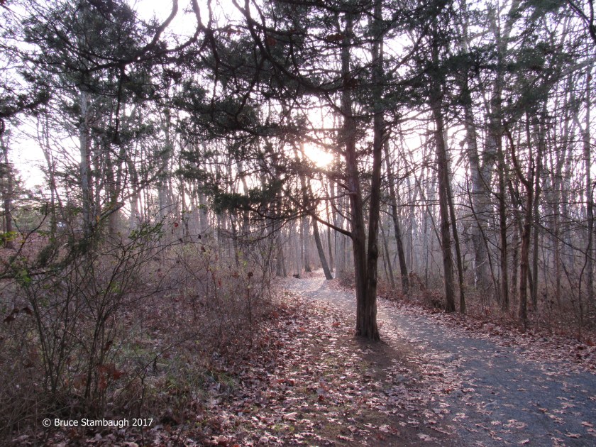 park, Harrisonburg VA