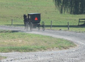 horse and buggy