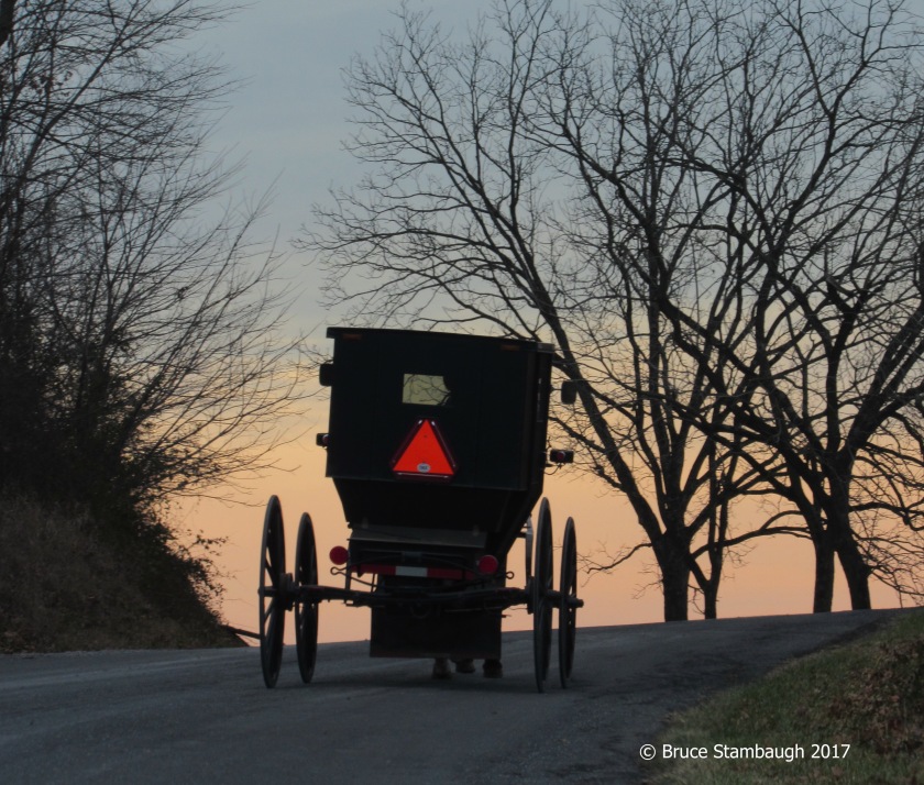 Old Order Mennonite buggy, Virginia, Shenandoah Valley