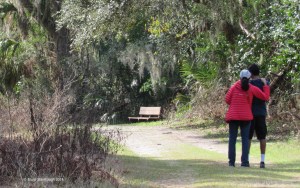 nature walk, mother and son