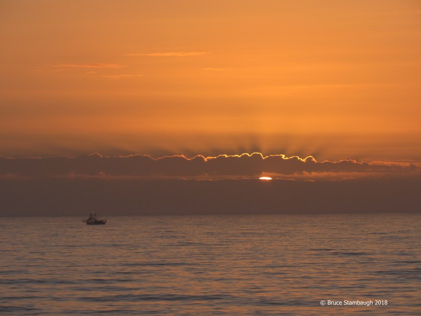 Florida sunrise, rays of hope
