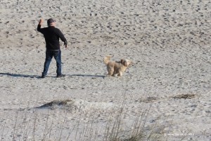 dogs on the beach, Fernandina Beach FL