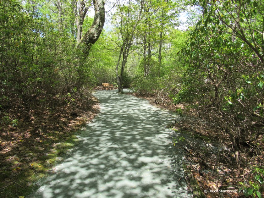 Shenandoah National Park, hiking, Virginia