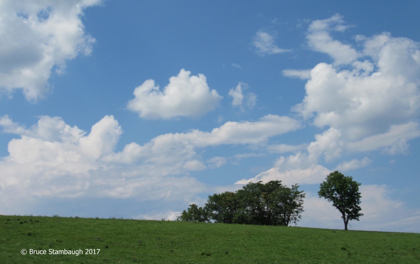 pasture field, cumulous clouds