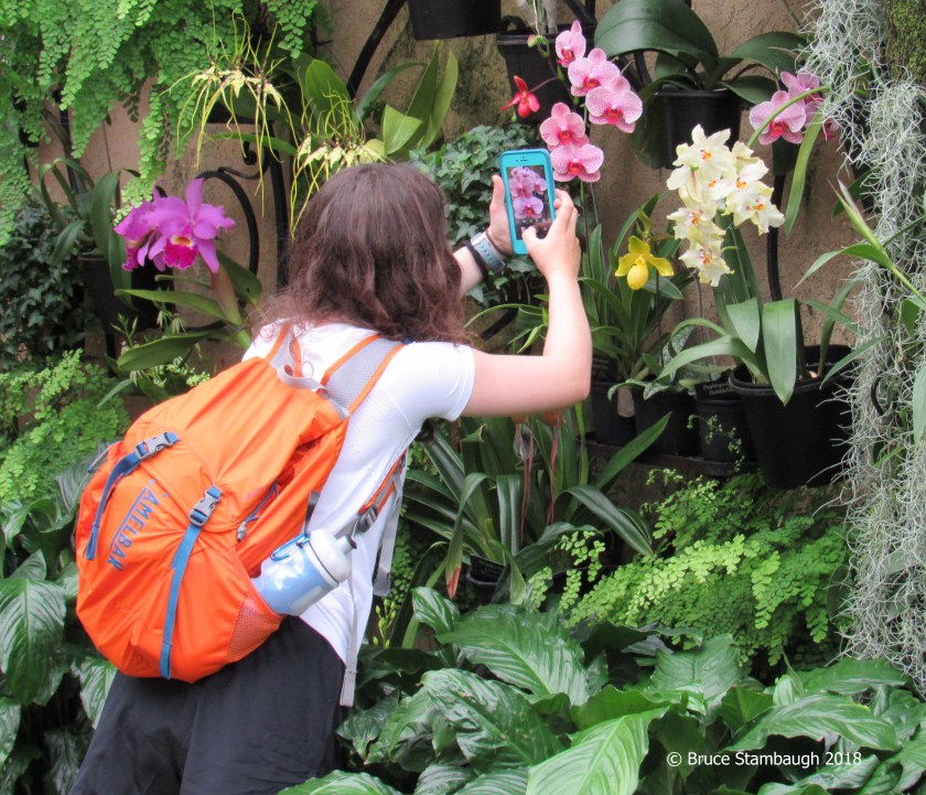 young photographer, Longwood Gardens, seeing beauty