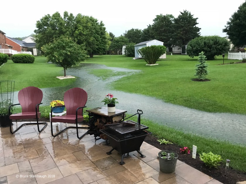 flooding, river in my bakcyard