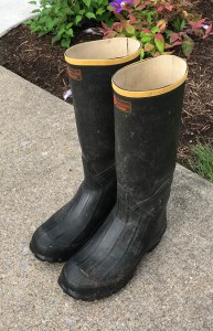 rubber boots, gumboots