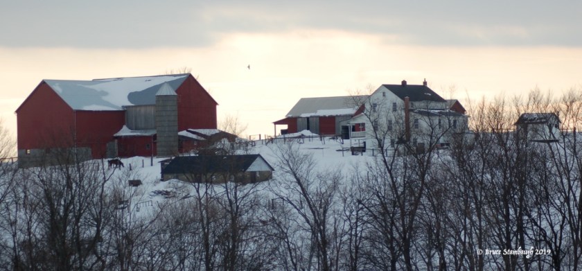 winter in Amish country, Holmes Co. OH