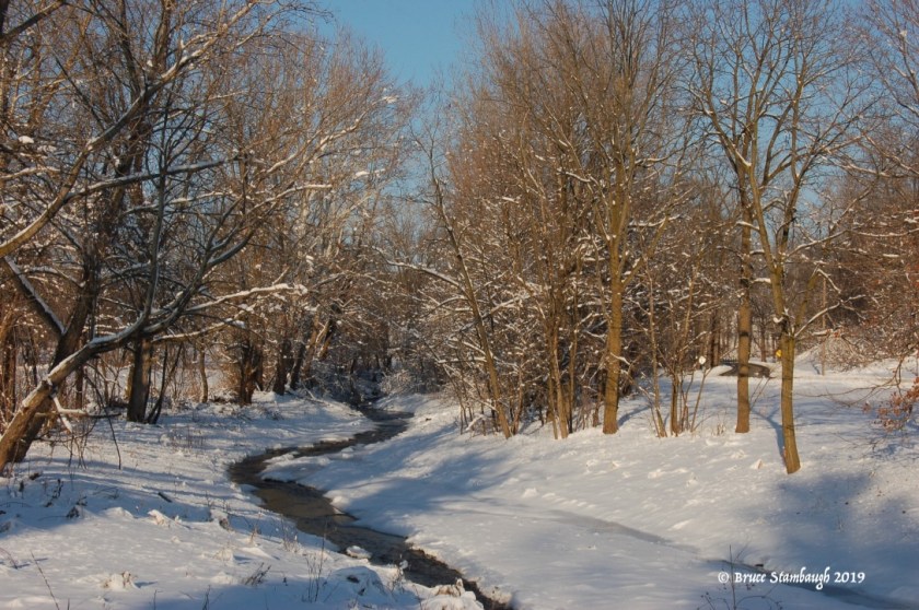 stream in winter, Holmes Co. OH
