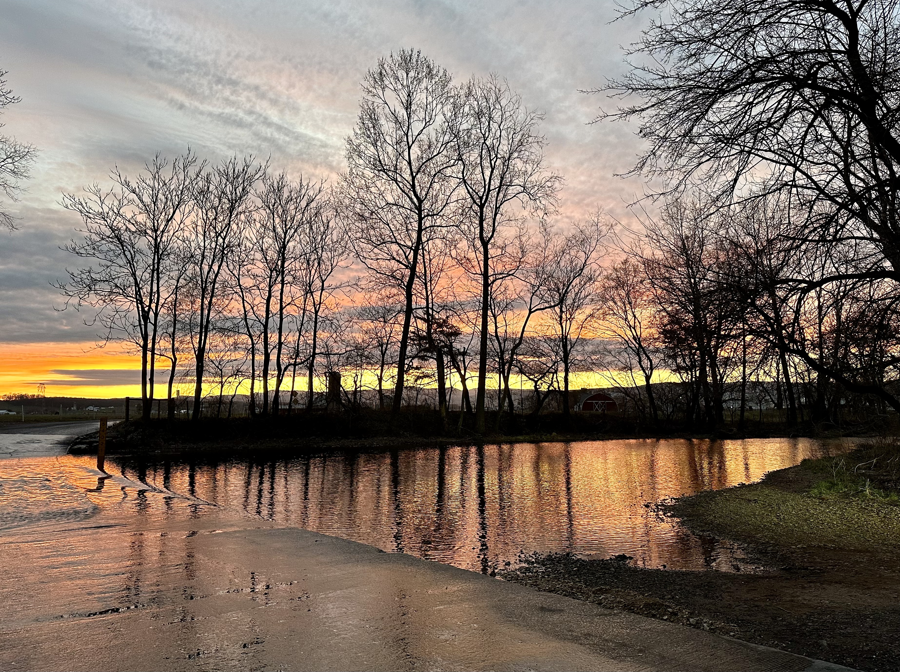 Evolution of a Sunset – Roadkill Crossing